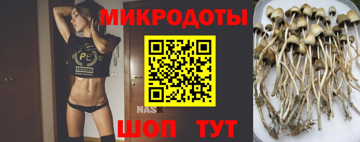 Галлюциногенные грибы Psilocybine cubensis  Вход с VPN  Северск  Псилоцибиновые грибы Psilocybe 